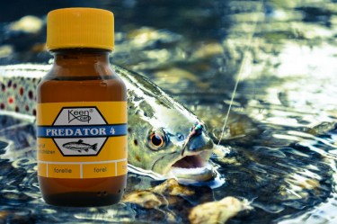 Predator 4 Trout